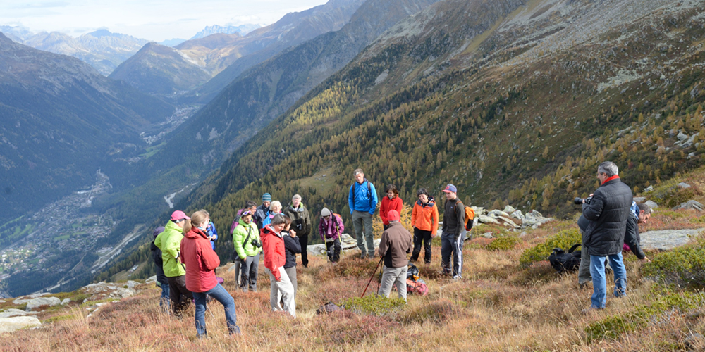 Découverte des protocoles d'observation de la végétation avec les chercheurs au Plan de l'Aiguilles (Massif du Mont-Blanc) © CREA Mont-Blanc