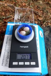 Balance de terrain qui permet de peser les œufs de mésanges noires présents dans les nids © CREA Mont-Blanc