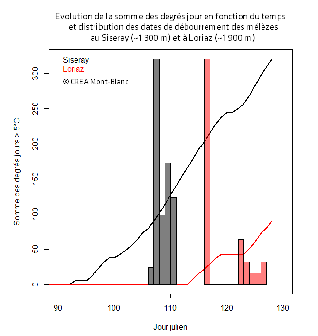 Évolution de la somme des degrés jour en fonction du temps et distribution des dates de débourrement des mélèzes au Siseray (environ 1300 m) et à Loriaz (environ 1900 m) © CREA Mont-Blanc 