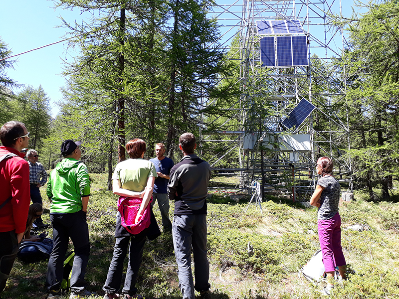 Suivi des forêts de mélèzes - Formation des Accompagnateurs en Moyenne Montagne à Torgnon (IT) sur le site de suivi du changement climatique de l'ARPA © CREA Mont-Blanc