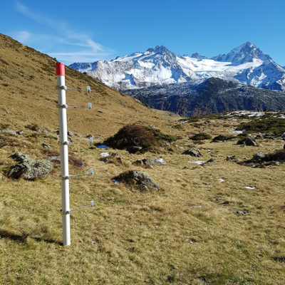 Le dispositif de mesure, avec des capteurs de température placé à intervalle de 30 cm ainsi qu’au sol et enterré à 10cm dans le sol © CREA Mont-Blanc