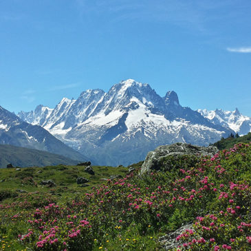 Le réchauffement climatique et son impact sur le manteau neigeux dans les Alpes