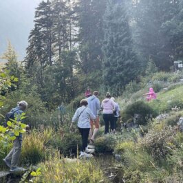 Un groupe déambule dans le jardin botanique alpin de Flore-Alpe, à la rencontre d'une artiste performeuse