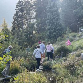 Un groupe déambule dans le jardin botanique alpin de Flore-Alpe, à la rencontre d'une artiste performeuse