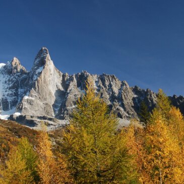Quand la nature donne le tempo 🍂