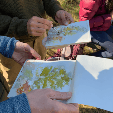SoPhéno : un projet au croisement des disciplines
