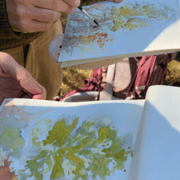 SoPhéno : un projet au croisement des disciplines