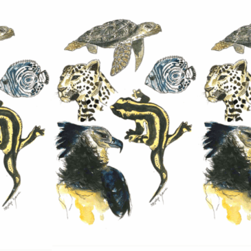 Biodiversité : effondrement, stabilité ou bouleversement ? Ce que révèle le débat scientifique