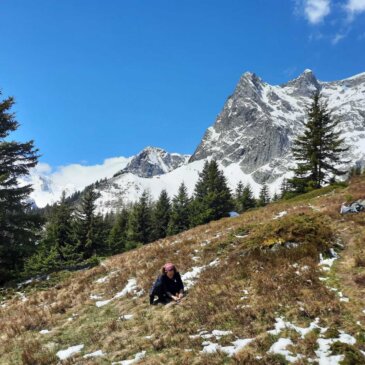 Rendez-vous manqués en altitude ? La myrtille à l&rsquo;heure du changement climatique