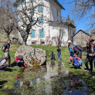 Vallorcine au rythme des saisons : soleil, pontes et bourgeons !