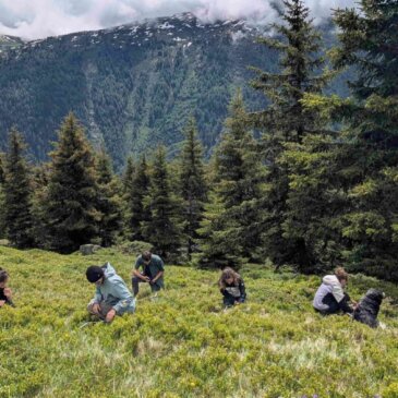 Un printemps au sommet : une montagne en éveil, des citoyens en action