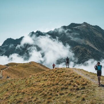 Trail en montagne et faune sauvage : une cohabitation à distance