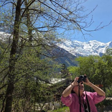 Un printemps record… et une nature en avance : le printemps 2026 vu par les Phénoclimeur·euses !